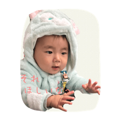 [LINEスタンプ] りったんの毎日