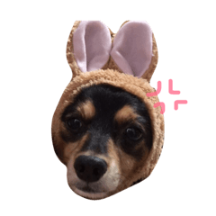[LINEスタンプ] シオン