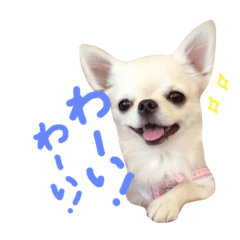 I LOVE りんちゃん