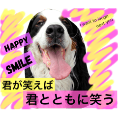 [LINEスタンプ] バーニーズ犬ジョンの言葉2
