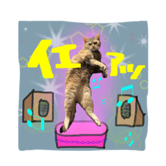 [LINEスタンプ] 猫 スタンプ 心境編