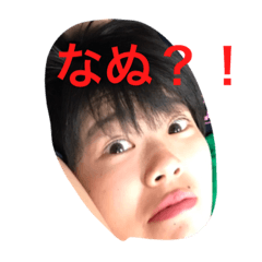 [LINEスタンプ] 実用性抜群スタンプ！