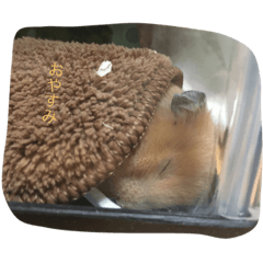 [LINEスタンプ] my lazy hamster02