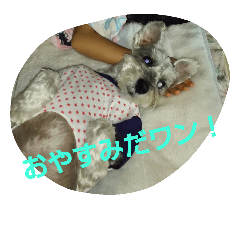 [LINEスタンプ] 大福！