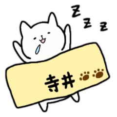 [LINEスタンプ] 全国の【寺井】さんのための名前スタンプ