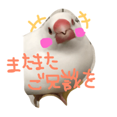 [LINEスタンプ] とろろシリーズ