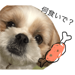 [LINEスタンプ] wan wanwan