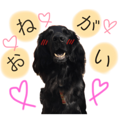 [LINEスタンプ] FlanStamp2