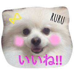 [LINEスタンプ] Happy RURUtan stamp