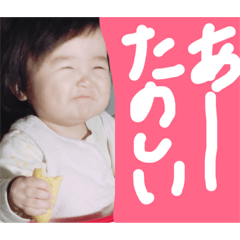 [LINEスタンプ] yuikoPo