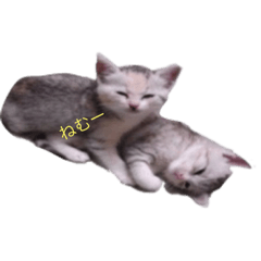 [LINEスタンプ] うず君とマロぴん