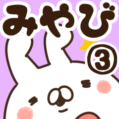 [LINEスタンプ] 【みやび】専用3