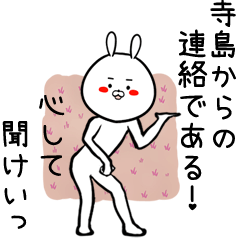 [LINEスタンプ] 寺島専用の面白なまえスタンプ