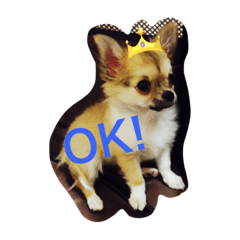 [LINEスタンプ] Mirin_chan