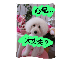 [LINEスタンプ] トイプ～！ Heart★Mate
