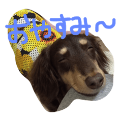 [LINEスタンプ] MokaMarie