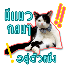 [LINEスタンプ] Have a fat cat