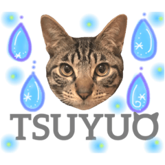 [LINEスタンプ] つゆおすたんぷ
