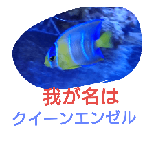 [LINEスタンプ] 海水魚