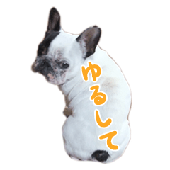 [LINEスタンプ] ティニーの日常会話