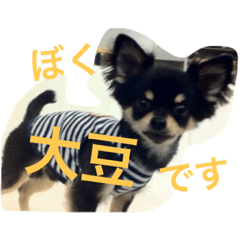 [LINEスタンプ] チワワの大豆