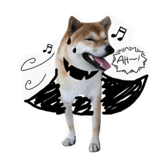 [LINEスタンプ] Woody is a happy puppy.