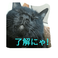 [LINEスタンプ] ジジ