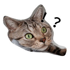 [LINEスタンプ] TARO(roundface)