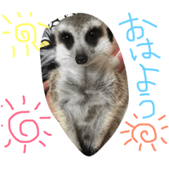 [LINEスタンプ] 金子ペッズ