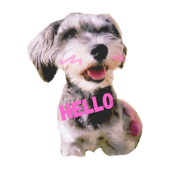 [LINEスタンプ] 赤いパンツのMシュナ