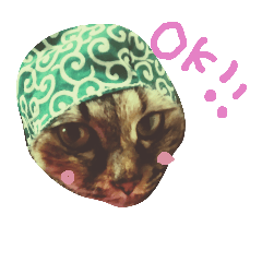[LINEスタンプ] ティラミス猫