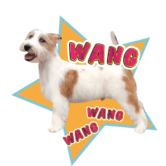 [LINEスタンプ] Jack Russell didi