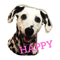 [LINEスタンプ] アビポン