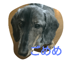 [LINEスタンプ] りりさんのスタンプ