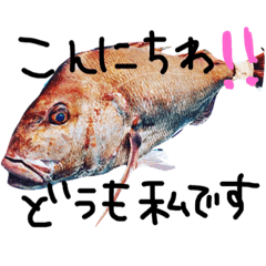 [LINEスタンプ] 釣り日和。