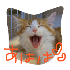 [LINEスタンプ] ハルマトム2