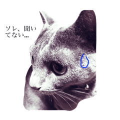 [LINEスタンプ] ココ時々こはく