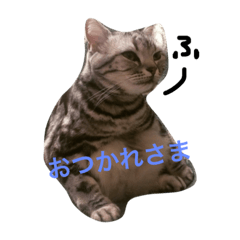 [LINEスタンプ] なぼなルークびび