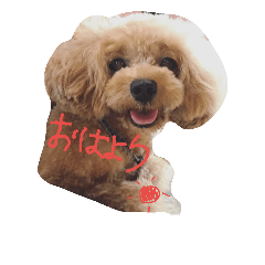 [LINEスタンプ] I'm Ayaka