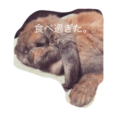 [LINEスタンプ] 気まぐれ うさ子のぷーちゃん