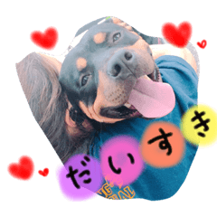 [LINEスタンプ] ピットブル そらロア