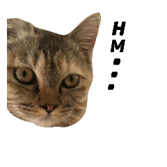 [LINEスタンプ] Hello！ I'm Mochi