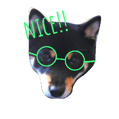 [LINEスタンプ] 我が家の仁さん～3