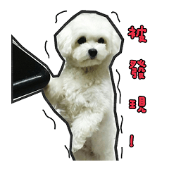 [LINEスタンプ] Love PAPA
