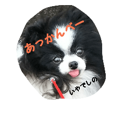 [LINEスタンプ] さくらでしの