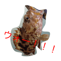 [LINEスタンプ] 猫、魚、色々スタンプ