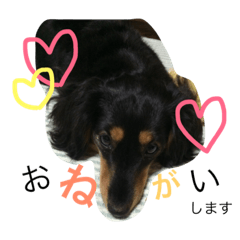 [LINEスタンプ] ぶらっくたんすたんぷ