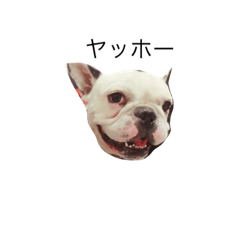 [LINEスタンプ] 福