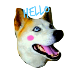 [LINEスタンプ] みつをくん