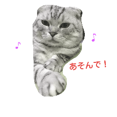 [LINEスタンプ] shima0130